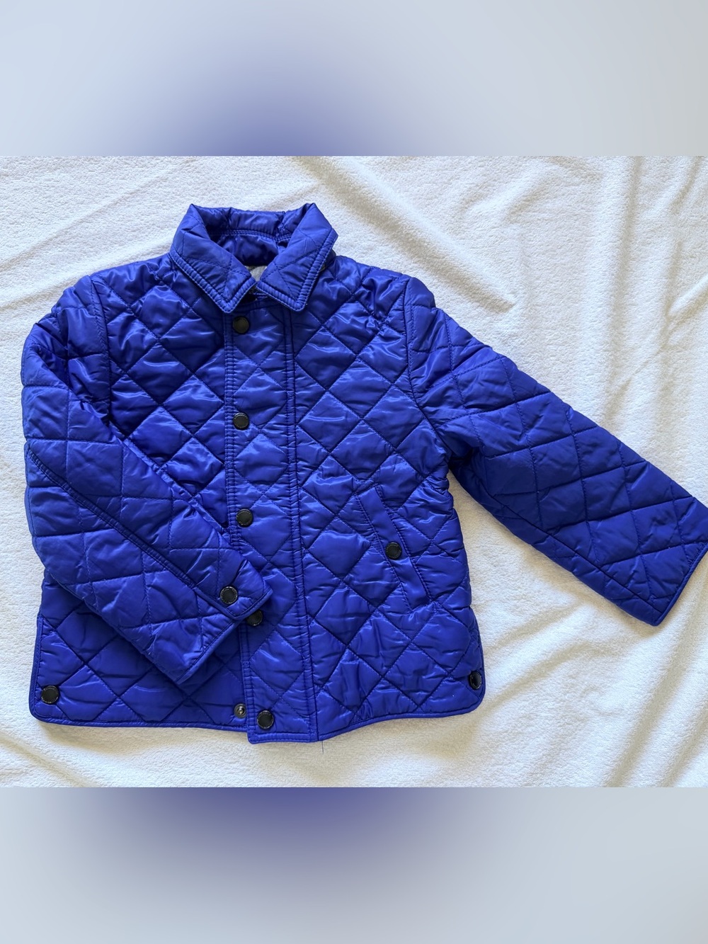 Burberry Kids Blue Jacket